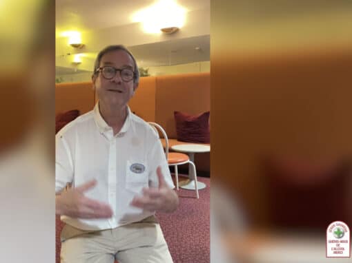 Alcoolisme et rechute : comprendre pour mieux accompagner [VIDEO]